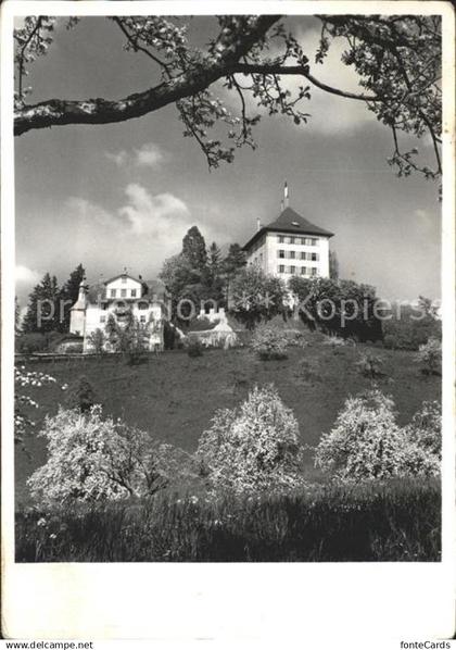 Gelfingen Schloss Heidegg Kapelle Herrenhaus