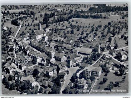 Sempach Fliegeraufnahme