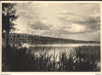 Sursee Sempachersee