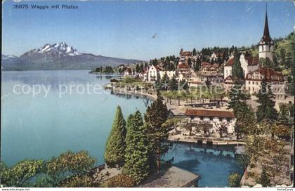 Weggis Vierwaldstaettersee Ortsansicht Vierwaldstaettersee Pilatus