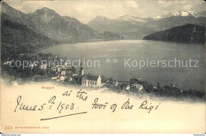 Weggis Vierwaldstaettersee Panorama Vierwaldstaettersee Alpen