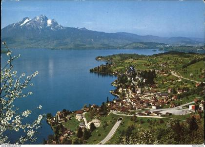 Weggis Vierwaldstaettersee Panorama Vierwaldstaettersee Pilatus