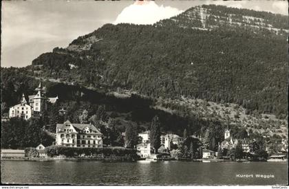 Weggis Vierwaldstaettersee Rigi Vierwaldstaettersee