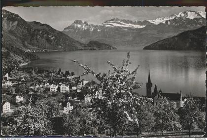 Weggis Vierwaldstaettersee Vierwaldstaettersee