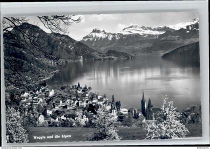 Weggis Vierwaldstaettersee Weggis