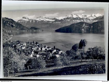Weggis Vierwaldstaettersee Weggis
