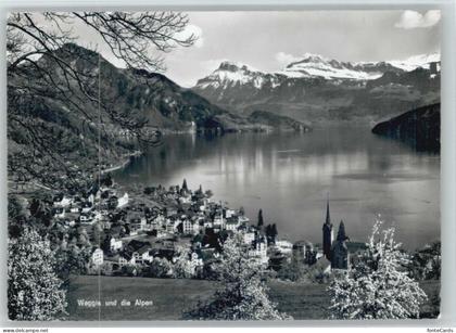 Weggis Vierwaldstaettersee Weggis