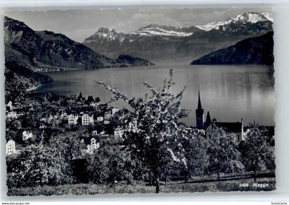 Weggis Vierwaldstaettersee Weggis