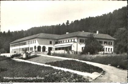 Willisau Schule