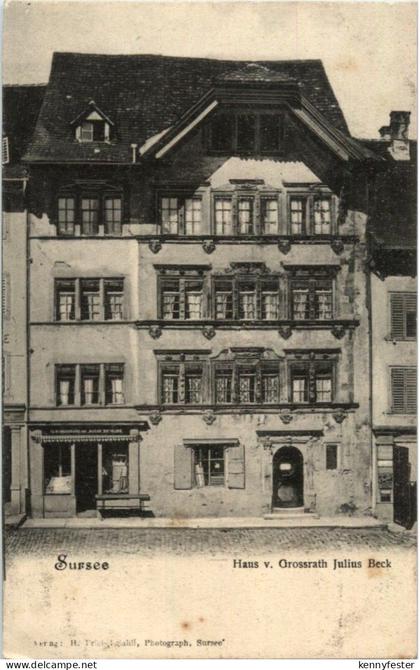 Sursee - Haus v. Grossrath Julius Beck