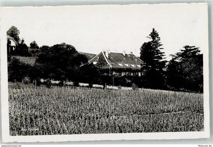 2016 Cortaillod Foto AK les Cedres - 39499790