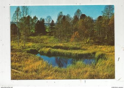cp , SUISSE , NE , tourbière du CACHOT , la BREVINE ,vierge , photo J.L. Richard