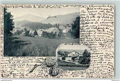 2037 Montmollin 1901 - College - 13251700