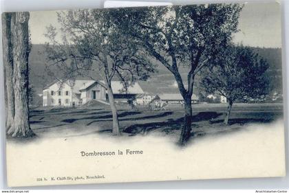 50609424 - Dombresson