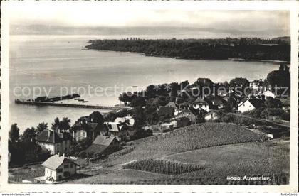 Auvernier Neuenburgersee Fliegeraufnahme