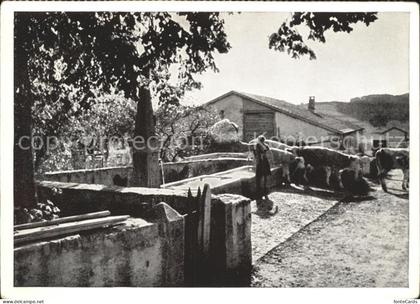 Le Paquier NE La fontaine du Pacuier Kuehe