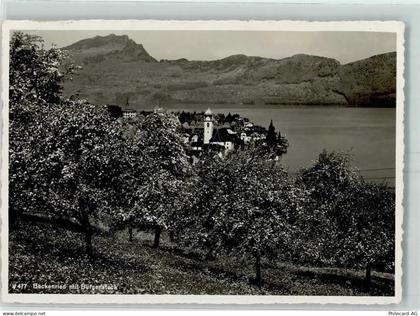 6375 Beckenried - 10393651