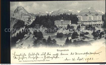 Buergenstock Hotels