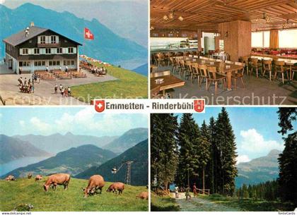 Emmetten Rinderbuehl