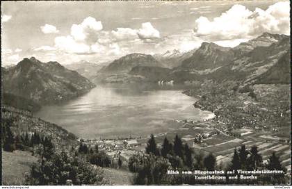 Ennetbuergen NW uochs Vierwaldstaettersee