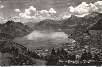 Ennetbuergen NW uochs Vierwaldstaettersee x