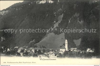 Wolfenschiessen Teilansicht