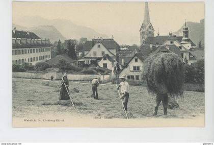 SUISSE - NIDWALD - STANS (scène de fenaison )