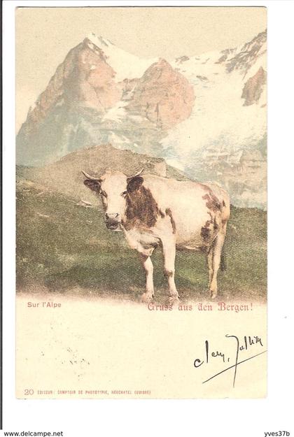 SUISSE - BERGEN - Gruss aus den Bergen!