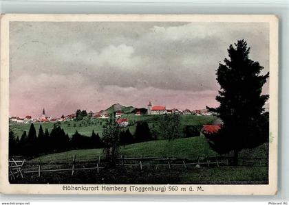 9633 Hemberg - 13117186