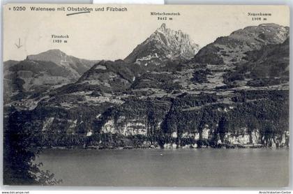 51138166 - Walensee Wallensee