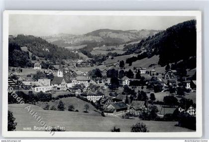 51282230 - Brunnadern