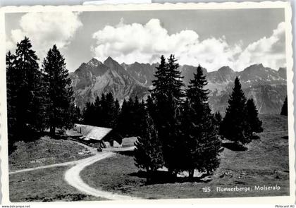 8896 Bergheim Flumserberg - Molseralp - 51950712