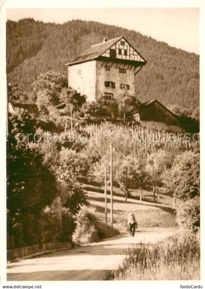 Altstaetten SG Burg Altstaetten
