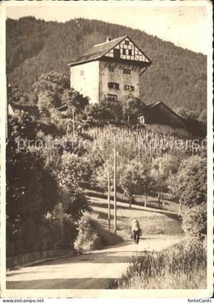 Altstaetten SG Burg Altstaetten