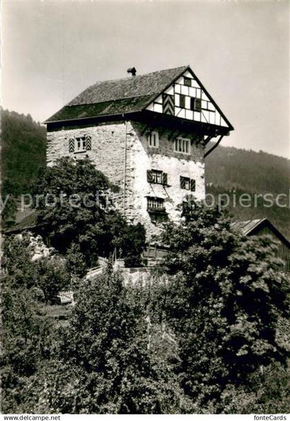 Altstaetten SG Burg Neu Altstaetten