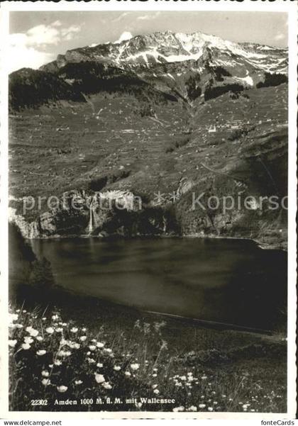 Amden Walensee SG mit Walensee Alpenflora