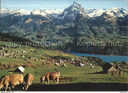 Amden Walensee SG mit Walensee und Muertschenstock