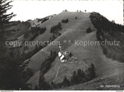 Goldingen Restaurant Alp Schindelberg