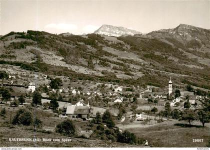 Kaltbrunn SG Panorama Blick zum Speer