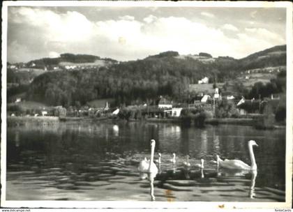 Rheineck SG Rheineck  x 1962