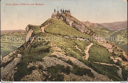 Speer Walensee