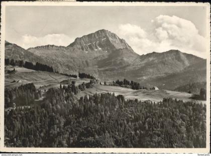 Speer Walensee