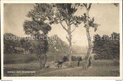 Walensee Ufer