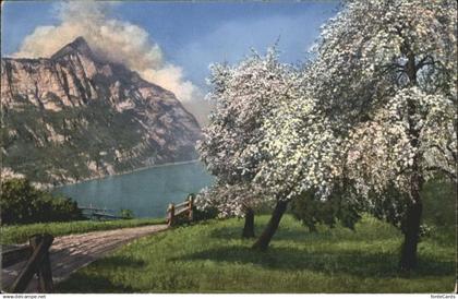 Walenstadt Walensee