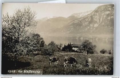 8880 Walenstadt - Kuhweide - 50738286