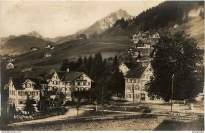 Wildhaus