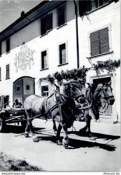 8213 Neunkirch - Bauernhof, Kutsche - 50746565