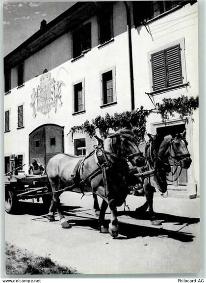 8213 Neunkirch - Bauernhof Pferde - 39374631