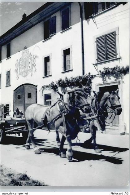 8213 Neunkirch - Bauernhof Kutsche - 50566304