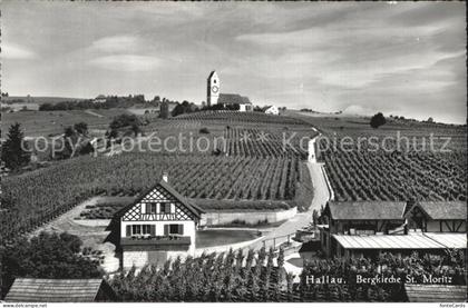 Hallau Bergkirche Sankt Moritz